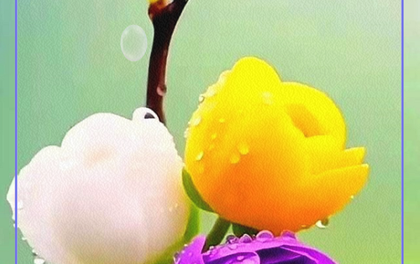 出轨要什么证据才能起诉